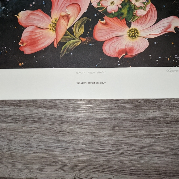 "Beauty from Orion" numbered print (certified) - Picture 2 of 8